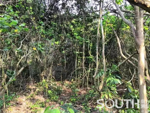 博天堂(918)官方网站 - 让你更杰出